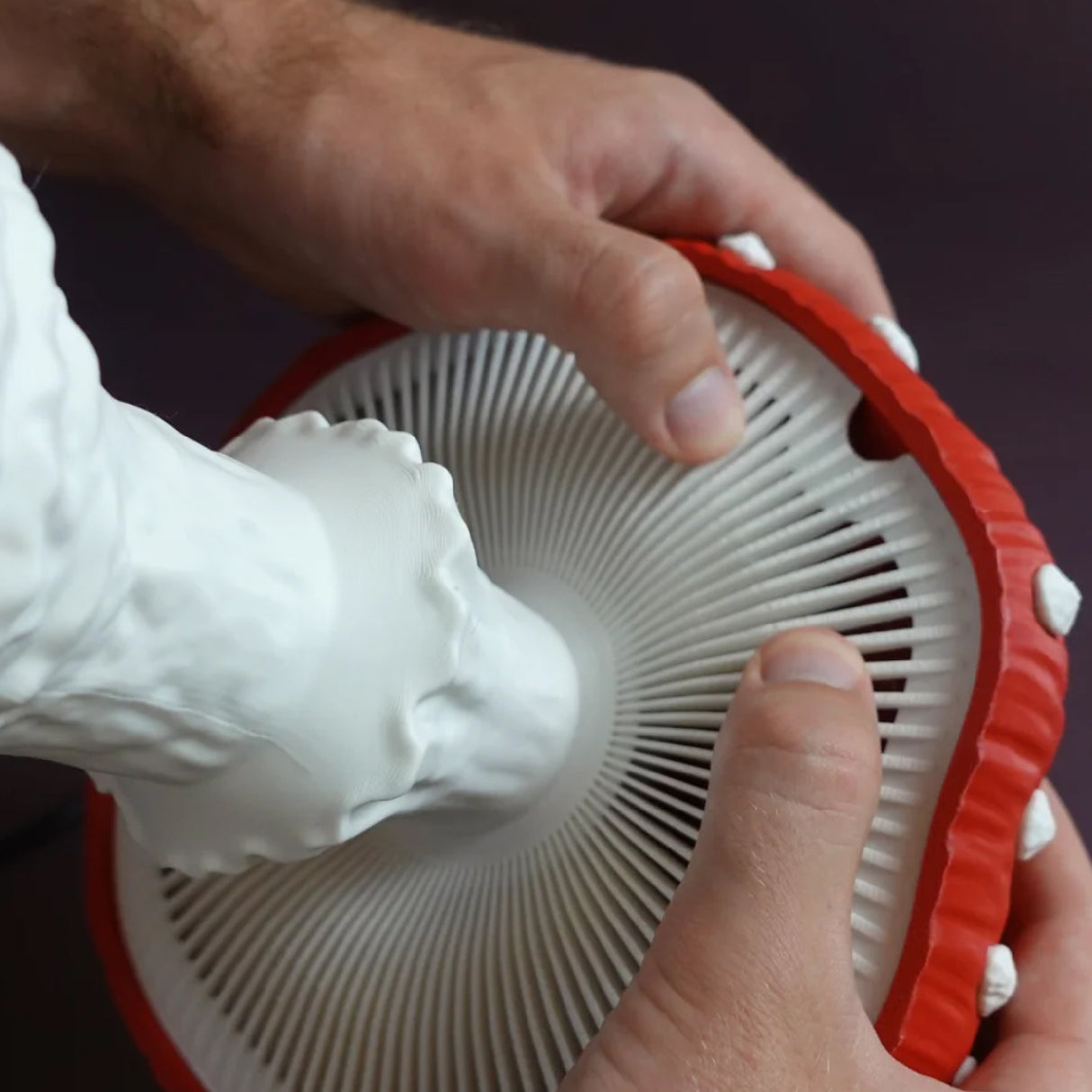 Panchroma™ Matte PLA (Formerly PolyTerra™ PLA)