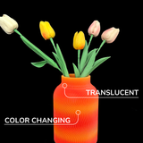 Panchroma™ Gradient Crystal