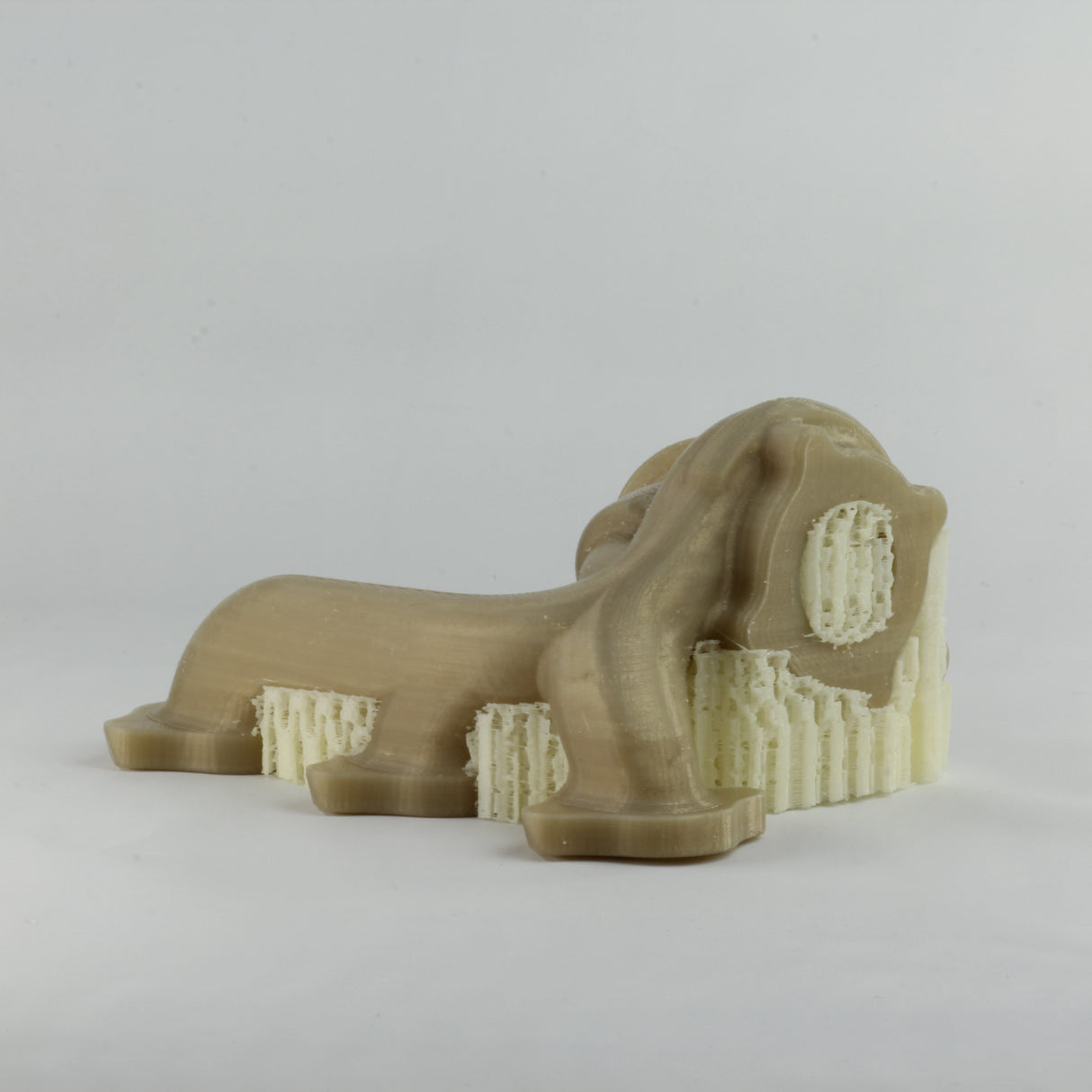 PolyMide™ CoPA