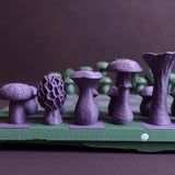 Panchroma™ Matte PLA (Formerly PolyTerra™ PLA)